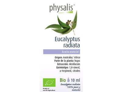 Eucalyptus oriental radiata bio 10 ml physalis