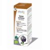 Alcachofra (Cynara Scolymus) Extrato hidroalcoólico Bio 100ml Physalis
