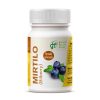 Mirtilo-arandano 500mg 100 GHF comprimidos