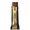 Amendoim salgado salgado 12x55g Barebells