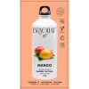 Bebida Solúvel Bragulat Sabor Manga 15x9g