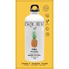 Bebida Solúvel de Abacaxi Bragulat 15x9g