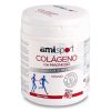 Colagen com Magnesio Sport + Vit C + B1, B2 e B6 Powder 350g Ana Maria Lajusticia