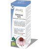 Echinacea Forte hidroalcoólico Bio 100ml Physalis