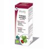 Espino branco (crataegus monogyna) bio 100ml Physalis Hydroalcoholic Extract