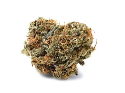 CBD Flor Premium Orange Mood Mandarin Cookies 2G Cannactiva