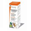 Harpagofito (Harpagophytum procumbens) Hydroalcoholic Streth
