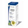 Extrato hidroalcoólico hyperic (hypericum perforatum)