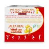 Frascos de geleia real Vital Ginseng 20x10ml - GHF