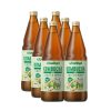 Kombucha Lima y Jengibre Bio 6x750ml Voelkel