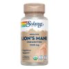 León Hair (macho do leão) 500 mg 60vcaps Solaray