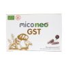 Mico neo GST bio 60 cápsulas - Neo