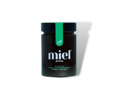 Mel orgânico da floresta 450g Mel de Leon