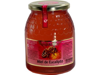 1 kg Hispamiel eucalyptus mel