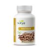 Shitake 460mg 90 cápsulas - Sotya