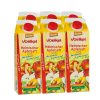 Bio Box Box 6x1l Voelkel Trouble
